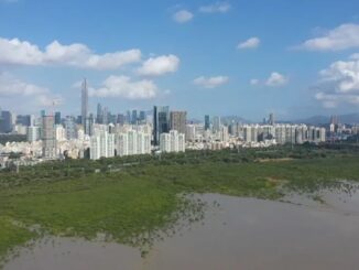 El oasis urbano de Shenzhen que propicia la conservación de manglares y fomenta la biodiversidad