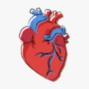 Día Mundial del Corazón (29 septiembre): ‘No pierdas un latido’